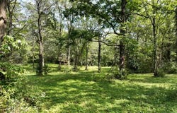 2681 Casey Ave, Letts, IA 52754