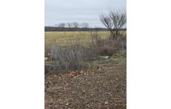 5620 Silver Lake Road, Clever, MO 65631