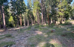 0000 CA-44, Shingletown, CA 96088