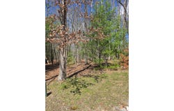 104 Winston Place, Daniels, WV 25832