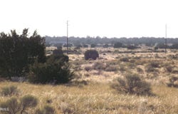 3368 E Antelope, Williams, AZ 86046