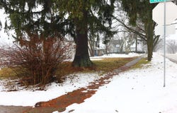401 W Oneida Avenue, Bartlett, IL 60103
