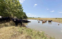 corinth rd, Ash Flat, AR 72513