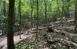 Off Kettle Road, New Enterprise, PA 16664
