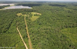 91 Levester Smith Lane, Silver Creek, MS 39663