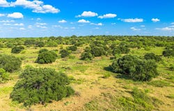 4163 E State Hwy 29, Mason, TX 76856