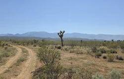 175th St E / Ave W14, Llano, CA 93544