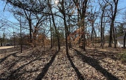 VL S Arrowhead Trail, Baldwin, MI 49304
