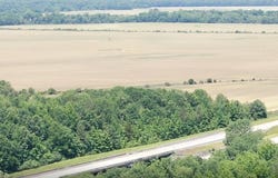 Hwy 145, Nettleton, MS 38858