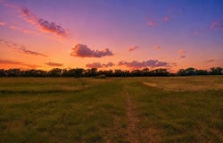 1948 County Road 1255, Savoy, TX 75479