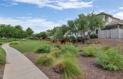 2157 W SCULLY Drive, Phoenix, AZ 85023