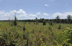 Grant 759, Sheridan, AR 72150