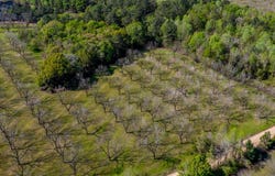 Kermit Road, Cobbtown, GA 30420