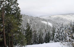29671 Lassen DR, Cold Springs, CA 95335