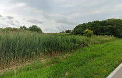 VACANT W Steger Road, Frankfort, IL 60423