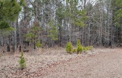 Retreat Way lot: 3, Ridgeway, SC 29130-0000