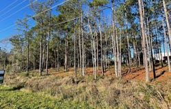 1.1 Acres US Highway 331 S, Freeport, FL 32439