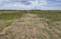 6916 E FM 1294, Idalou, TX 79329