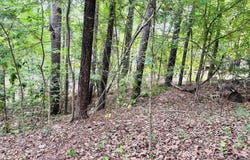 Lake Drive, Leesville, SC 29070
