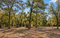 123 OAK FOREST CT, Cedar Creek, TX 78612
