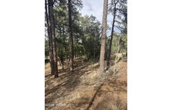1522 Foxtail Lane, Heber, AZ 85928