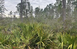 Old Grade Road, FL 33868