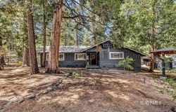 25145 Marion Ridge, Idyllwild, CA 92549