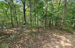 9468 Bent Tree Drive, Hillsboro, MO 63050