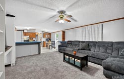 120 Pleasant View Drive, Foley, MO 63347