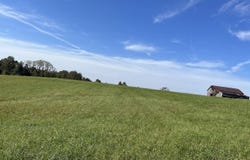376 Statham Road, Liberty, KY 42539
