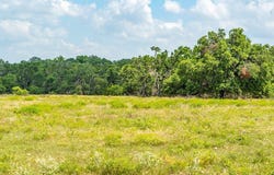 21690 FM 2093, Harper, TX 78631