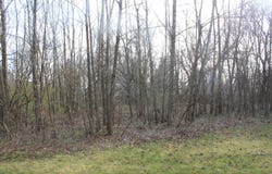 Red Arrow Highway, Watervliet, MI 49098