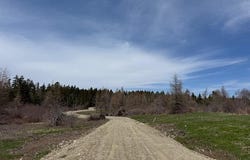 Holmes Bay Farms Road lot: 1, Whiting, ME 04691