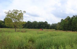 White Oak Road Tract B, Wilsons, VA 23894