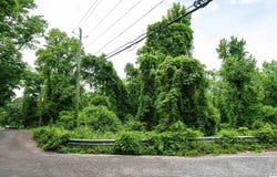 1233 MILL LANE lot: 0, IRONDALE, AL 35210