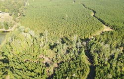 Kilpatrick Rd Tract 2B, Eatonton, GA 31024