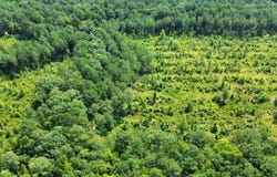 015 Peake Road, Elgin, SC 29045