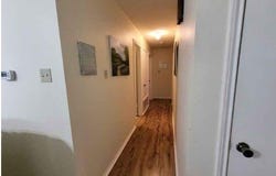 1604 Texas Oak Way, Cedar Park, TX 78613