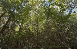 320 Skipper Lane, Yorktown, VA 23693