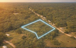 County Road 100, Gainesville, AL 35464