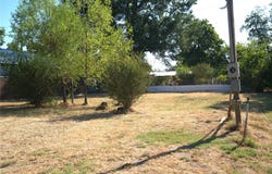 130 N Cedar, Blossom, TX 75416