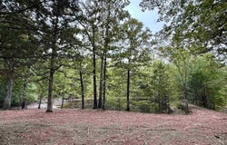 6235 MCKINSTRY Rd, Moscow, TN 38076