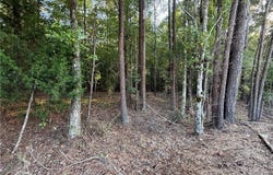 15149 Wire Rd, Cottondale, AL 35453