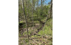 Gladys Road, Altavista, VA 24517