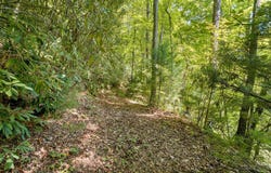 Fern Hill Drive, Franklin, NC 28734