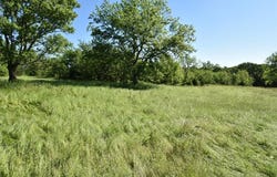 S Highway 99, Seminole, OK 74868