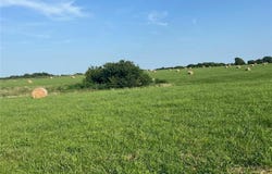 0003 Switzer Road, Louisburg, KS 66053