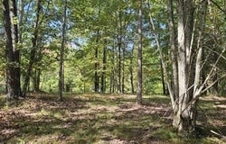 Wilderness Way lot: 515, Dunlap, TN 37327