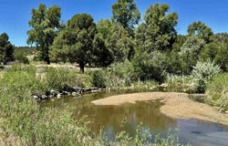 769 & 784 Bareback Lane, Durango, CO 81303