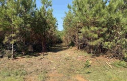 PARISH LINE ROAD, Bernice, LA 71277